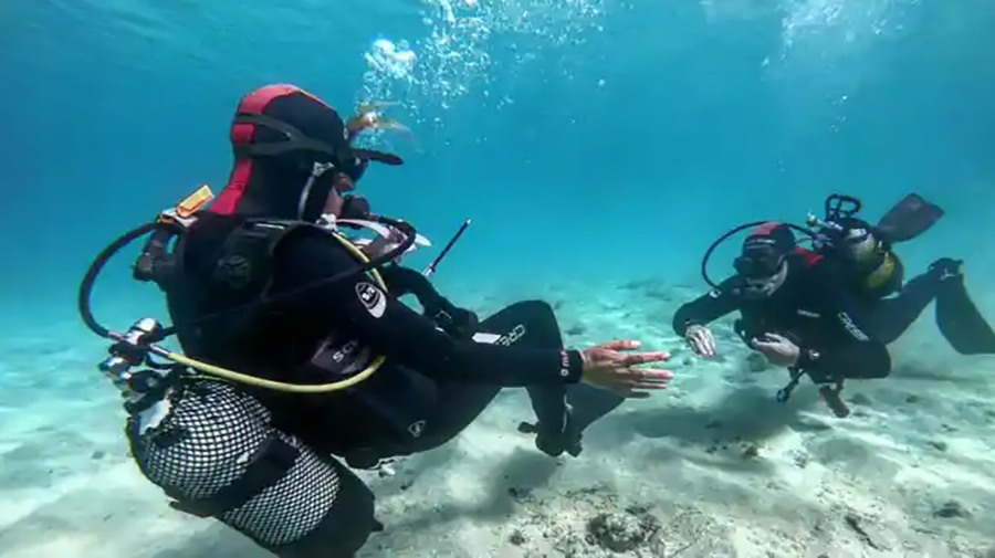 Leagues Ahead Diving - Playa del Inglés 